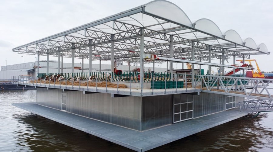 The world's first floating dairy farm Easyfix Livestock Comfort